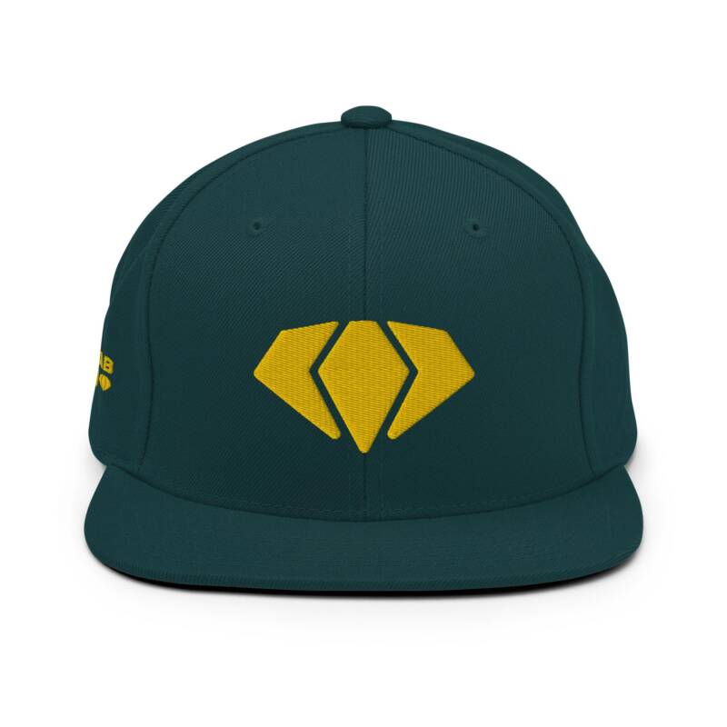 Gem Snapback Cap - Image 19