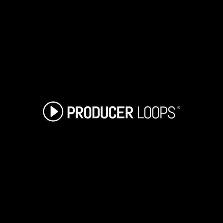 Producer-Loops